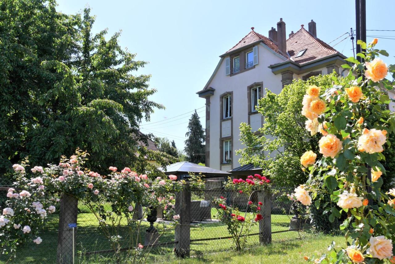 Apartamento Le Jardin Des Roses Saverne Exterior foto