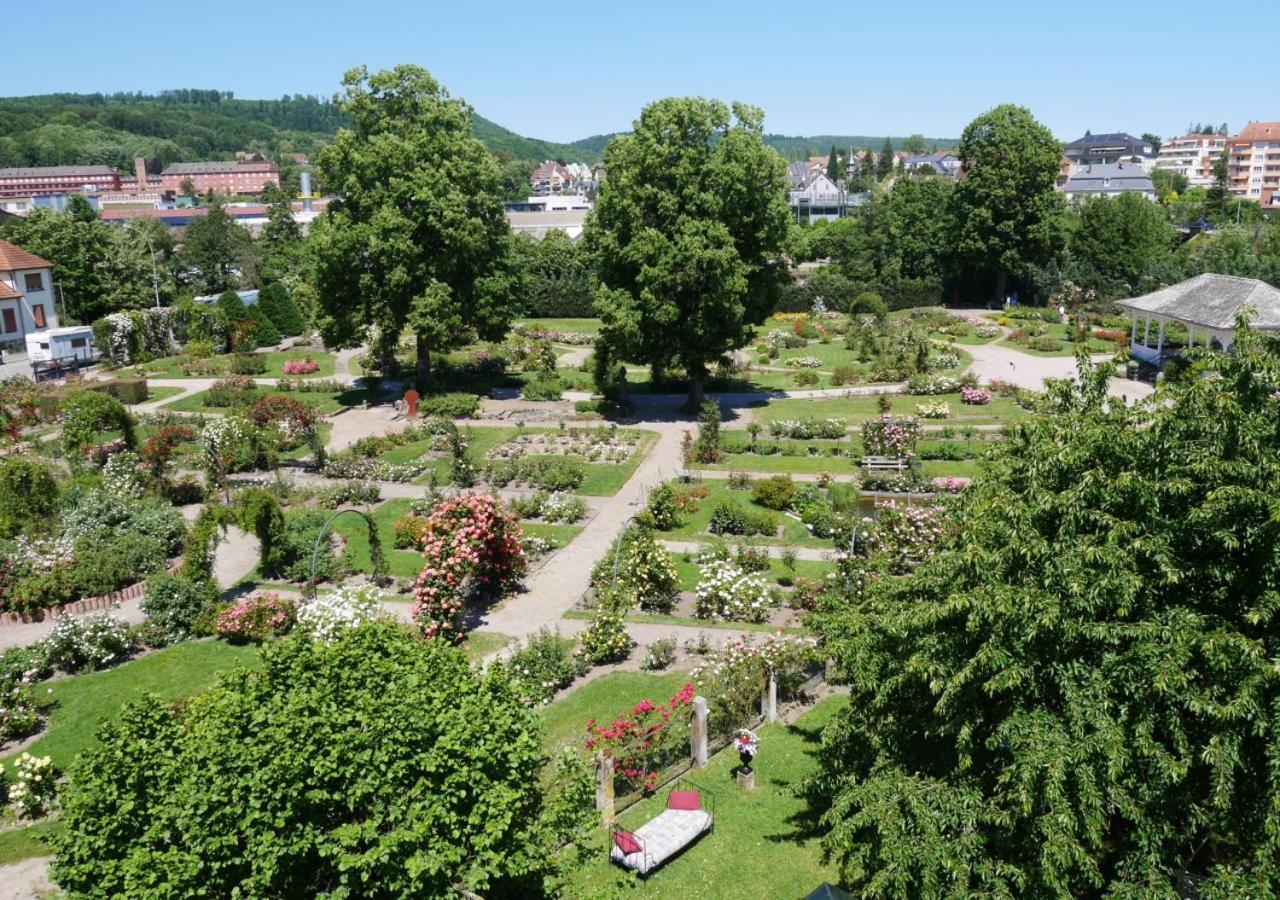 Apartamento Le Jardin Des Roses Saverne Exterior foto